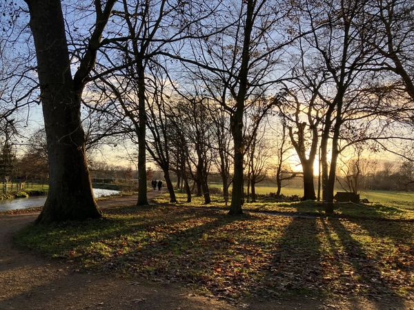 Sunset at CHCH Meadows